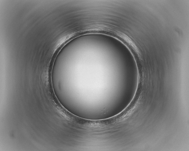 X0000116350834200912011409