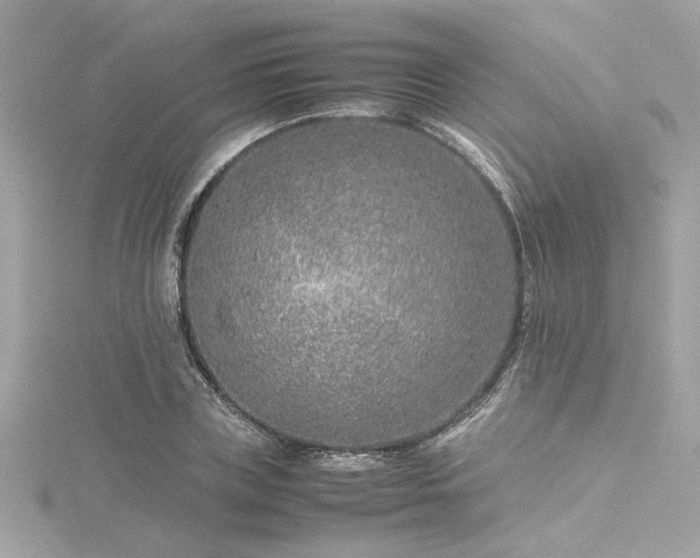 X0000116350835200912011409