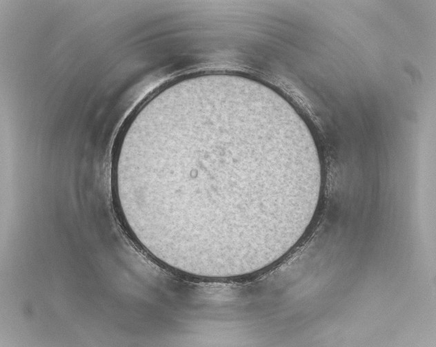 X0000116350836200912011409