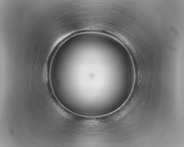 X0000116350838200912011409