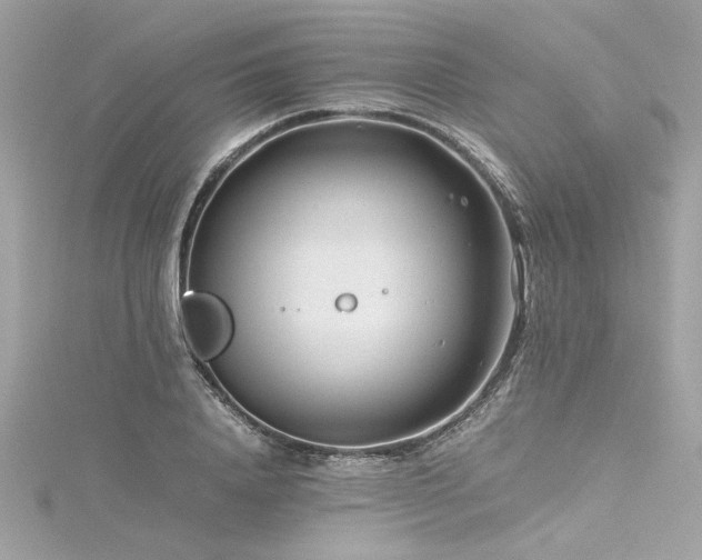 X0000116350840200912011409