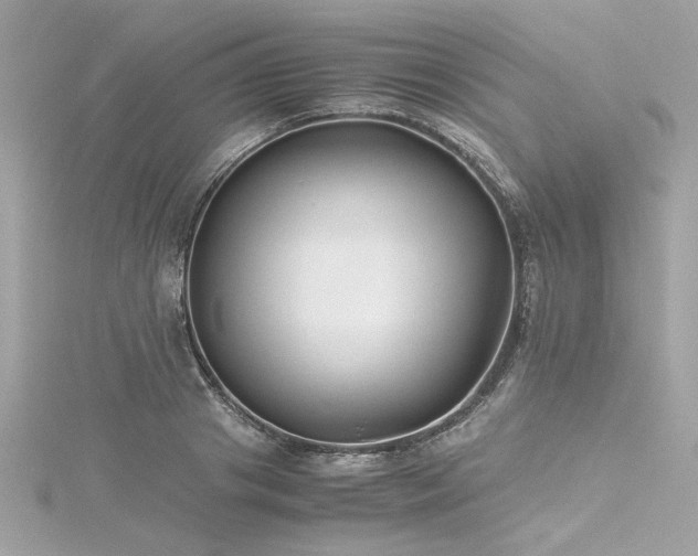 X0000116350841200912011409