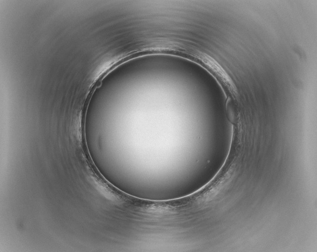 X0000116350842200912011409