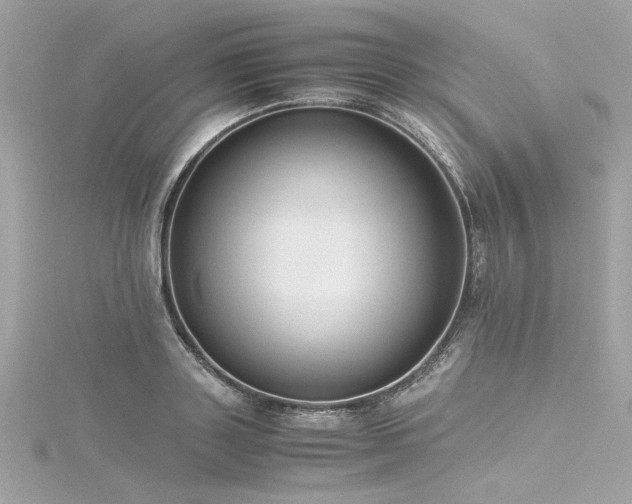 X0000116350843200912011409