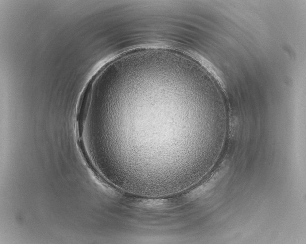 X0000116350845200912011409