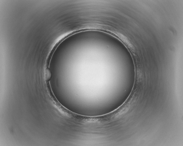 X0000116350846200912011409