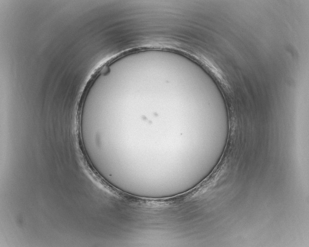 X0000116350848200912011409