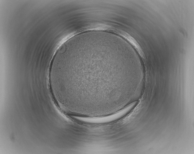 X0000116350850200912011409