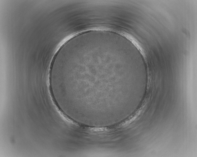 X0000116350853200912011409