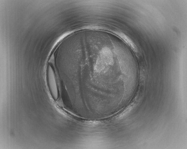 X0000116350854200912011409