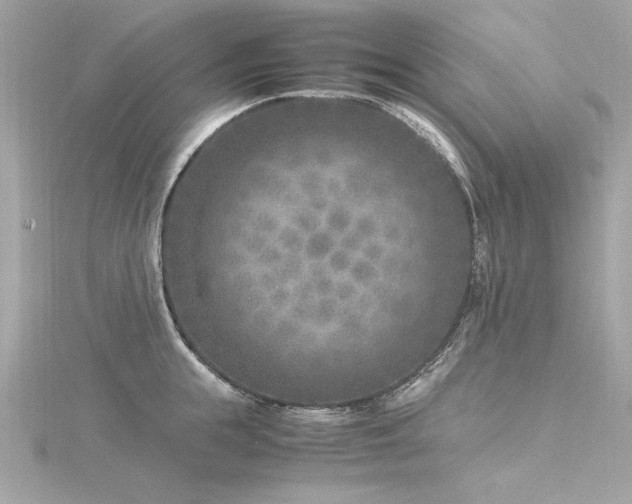 X0000116350855200912011409