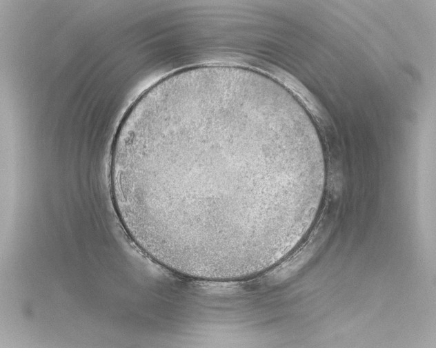 X0000116350856200912011409