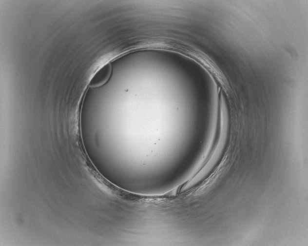 X0000116350858200912011409