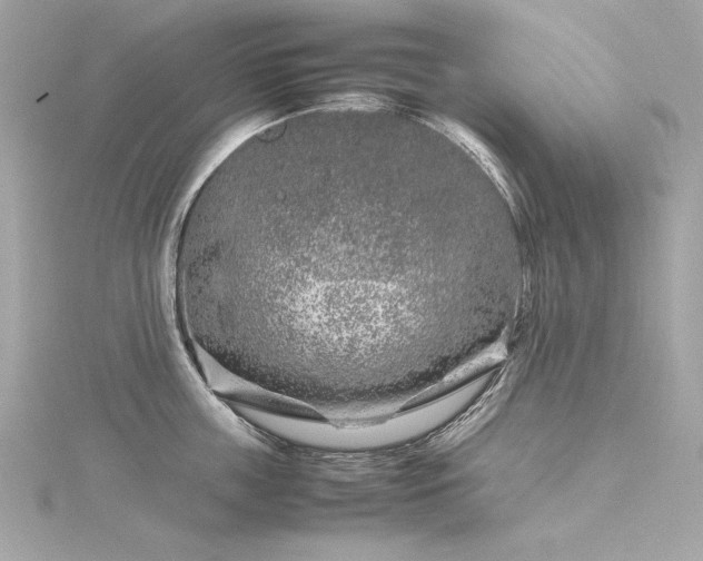 X0000116350859200912011409