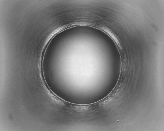 X0000116350861200912011409