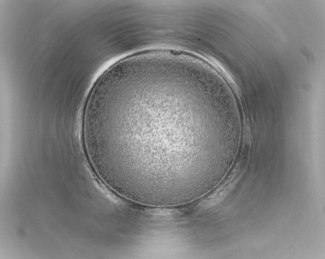 X0000116350862200912011409