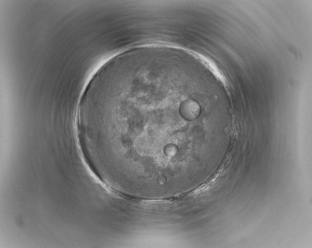 X0000116350863200912011409