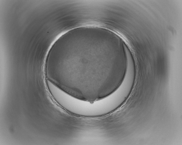 X0000116350864200912011409