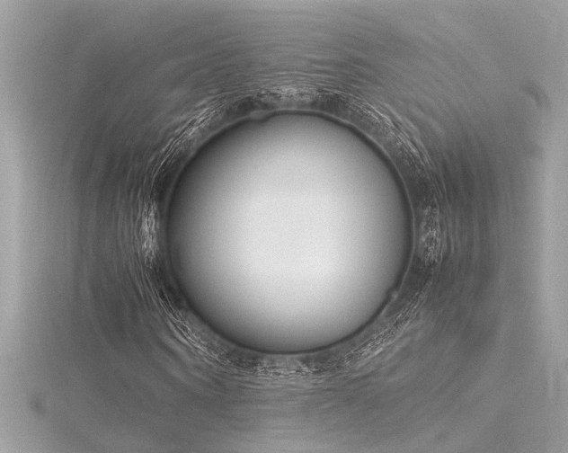 X0000116350866200912011408