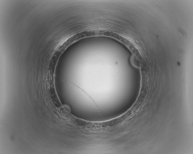 X0000116350871200912011408