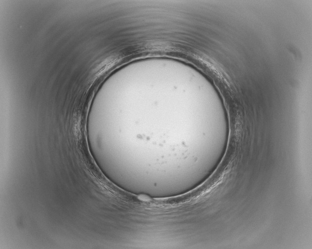 X0000116350873200912011408