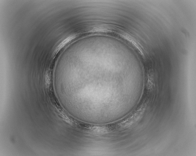 X0000116350874200912011408