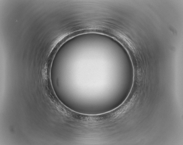 X0000116350875200912011408