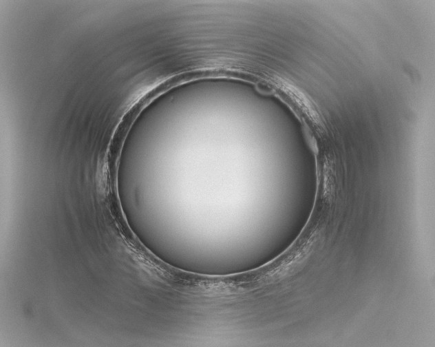 X0000116350876200912011408