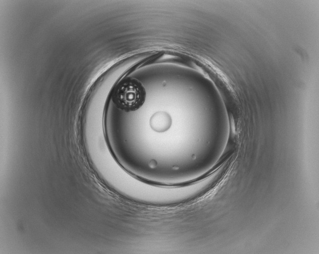 X0000116350877200912011408