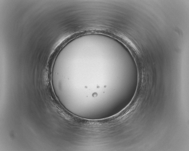 X0000116350878200912011408