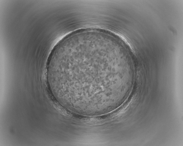 X0000116350879200912011408