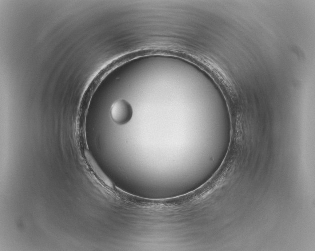 X0000116350880200912011408