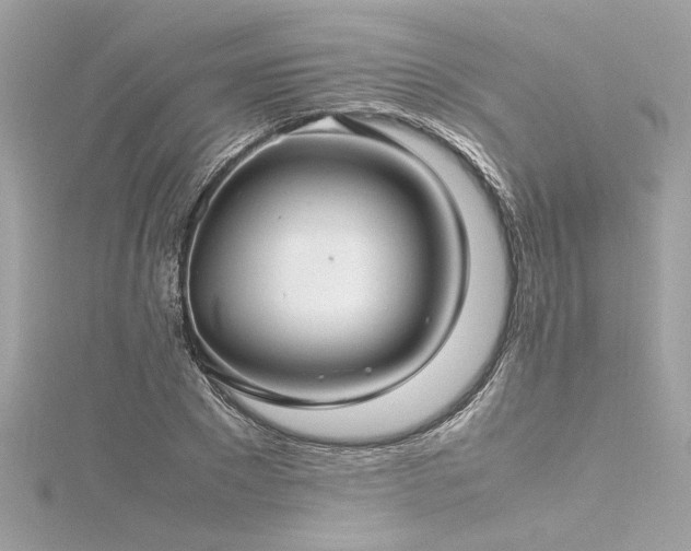 X0000116350881200912011408