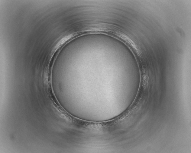 X0000116350882200912011408