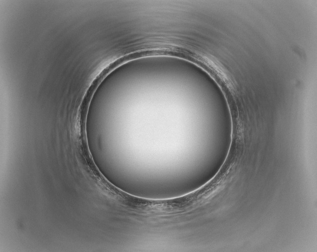 X0000116350883200912011408