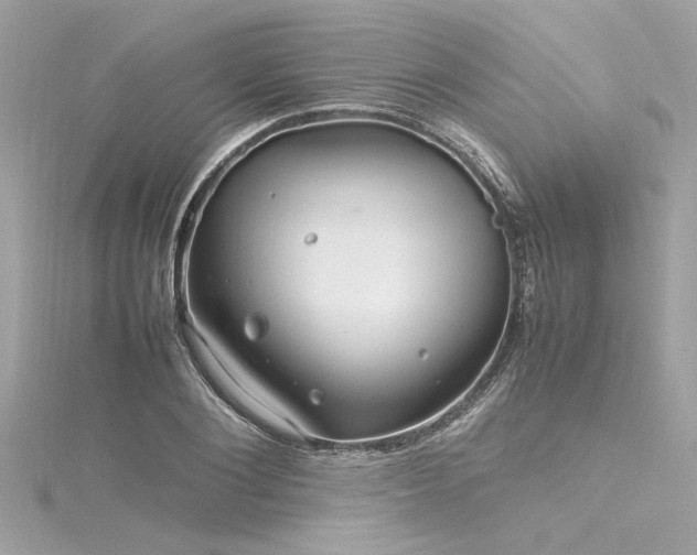 X0000116350884200912011408