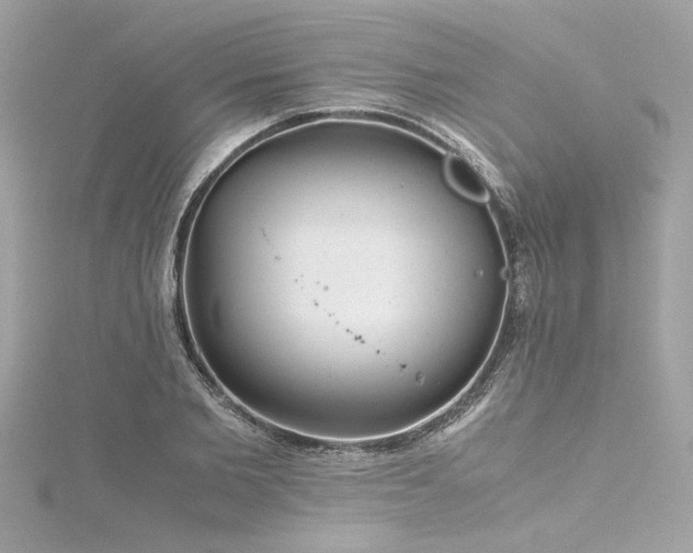 X0000116350885200912011408