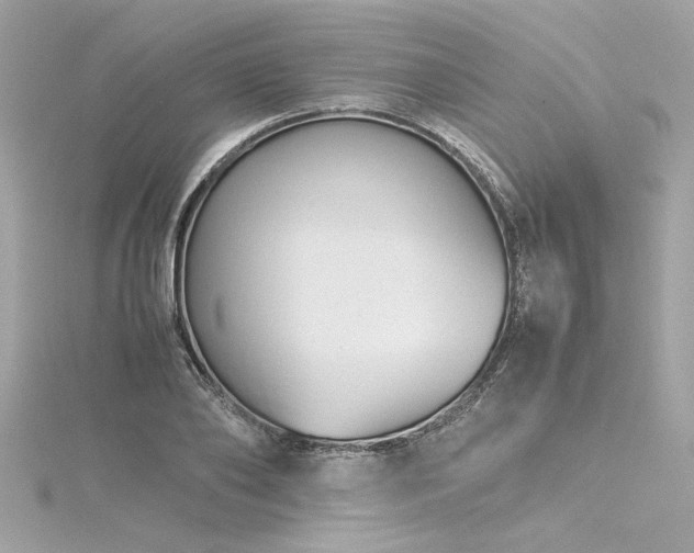 X0000116350886200912011408