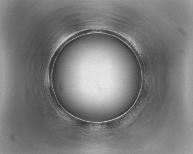 X0000116350887200912011408