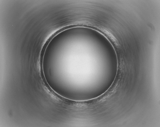 X0000116350888200912011408