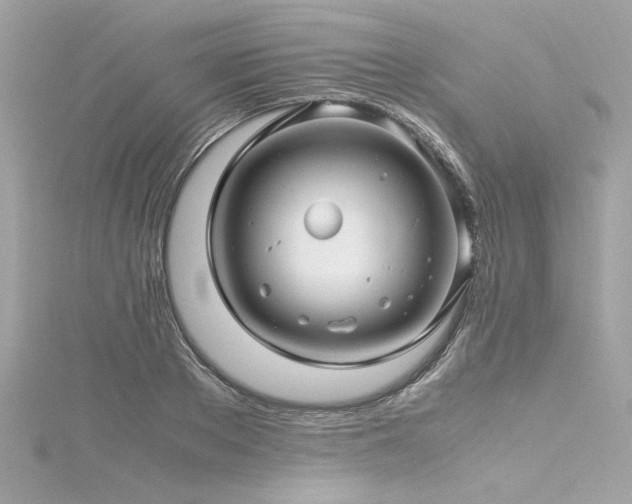 X0000116350889200912011408