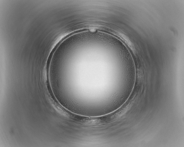 X0000116350891200912011408