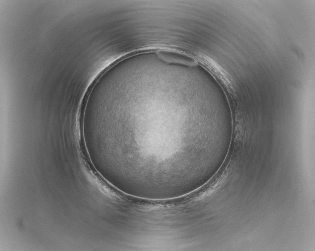 X0000116350892200912011408