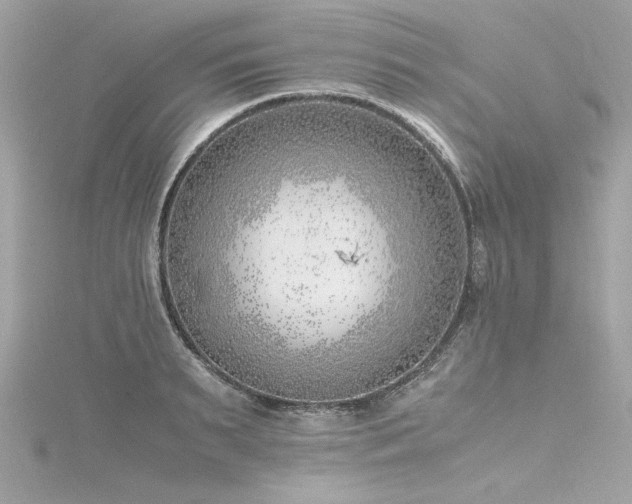 X0000116350895200912011408