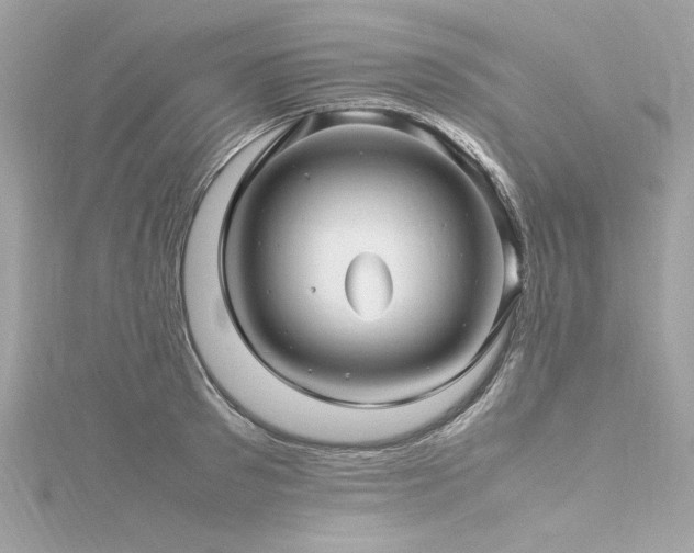 X0000116350897200912011408