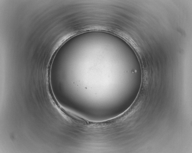 X0000116350898200912011408