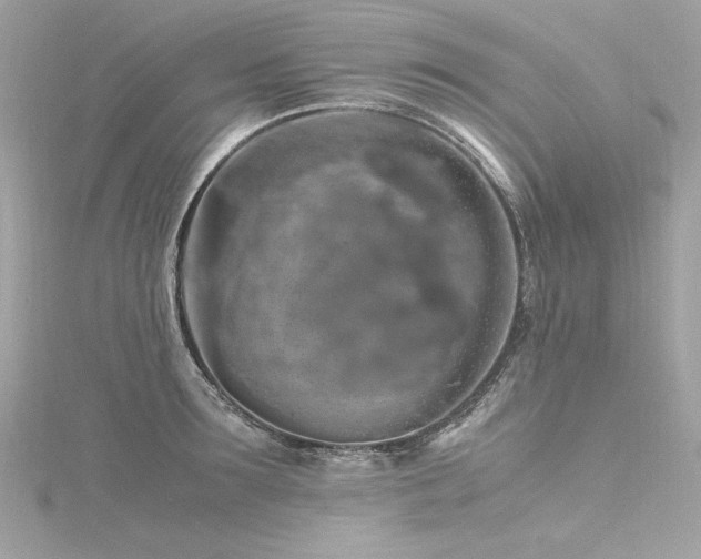 X0000116350899200912011408