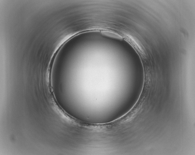 X0000116350900200912011408