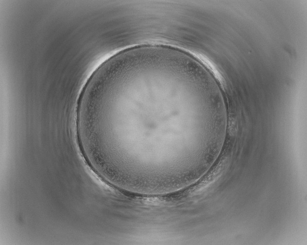 X0000116350903200912011408