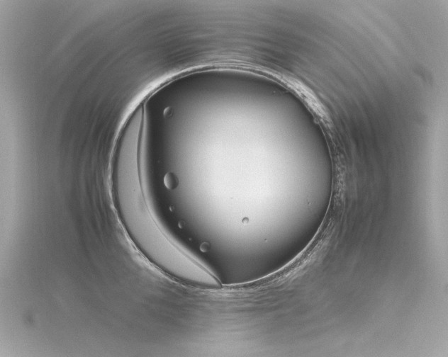 X0000116350904200912011408